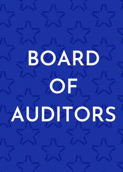 Board of Auditors